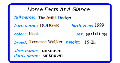 Horse Statistics At A Glance