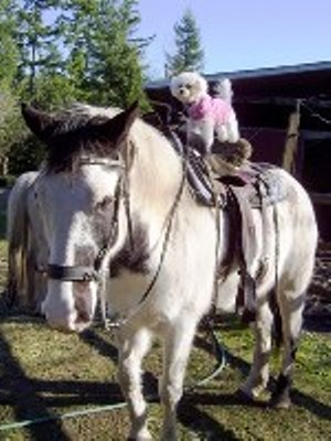 Missys first horseback ride