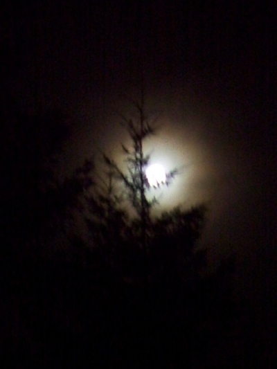 02/17/11 The moon trying to shine through on a foggy night.