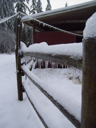 01/20/12 Big ice storm, icicles hanging on the paddock rails.