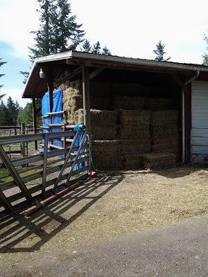 7/18/14 Fourteen tons of hay fills the barn.